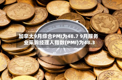 加拿大9月综合PMI为48.7 9月服务业采购经理人指数(PMI)为48.3-第2张图片