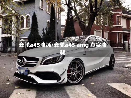奔驰a45油耗/奔驰a45 amg 真实油耗-第2张图片
