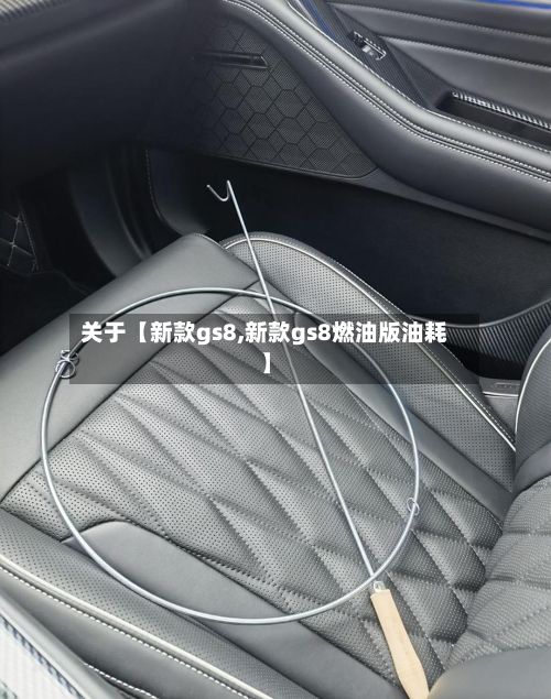 关于【新款gs8,新款gs8燃油版油耗】-第2张图片