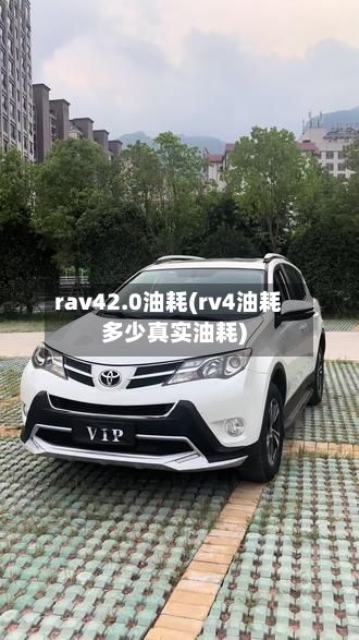 rav42.0油耗(rv4油耗多少真实油耗)-第2张图片