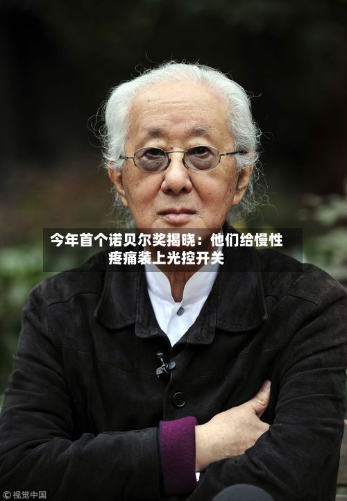 今年首个诺贝尔奖揭晓：他们给慢性疼痛装上光控开关-第3张图片