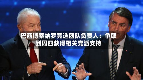 巴西博索纳罗竞选团队负责人:争取到周四获得相关党派支持-第1张图片