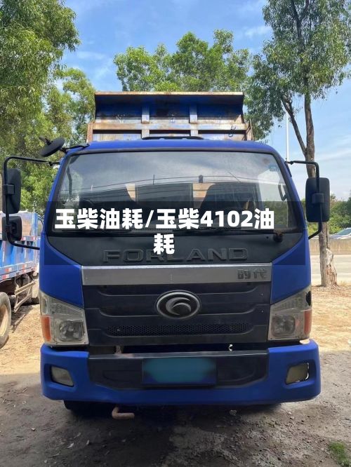 玉柴油耗/玉柴4102油耗