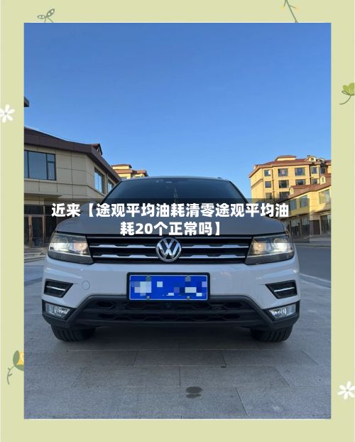 近来【途观平均油耗清零途观平均油耗20个正常吗】-第3张图片