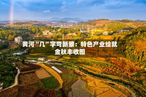 黄河“几”字弯新景：特色产业绘就金秋丰收图-第3张图片