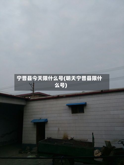 宁晋县今天限什么号(明天宁晋县限什么号)