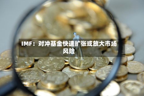 IMF：对冲基金快速扩张或放大市场风险-第2张图片