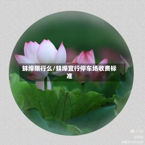 蚌埠限行么/蚌埠宜行停车场收费标准