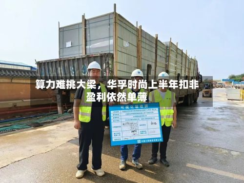 算力难挑大梁，华孚时尚上半年扣非盈利依然单薄-第2张图片