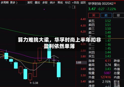 算力难挑大梁，华孚时尚上半年扣非盈利依然单薄-第3张图片