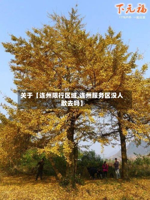 关于【连州限行区域,连州服务区没人敢去吗】-第3张图片