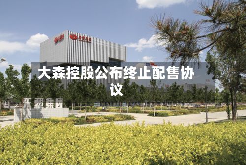 大森控股公布终止配售协议-第2张图片