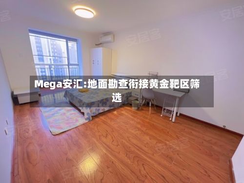 Mega安汇:地面勘查衔接黄金靶区筛选