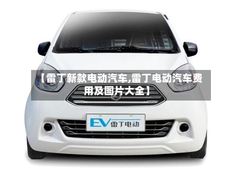 【雷丁新款电动汽车,雷丁电动汽车费用及图片大全】-第2张图片