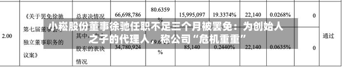 小崧股份董事徐驰任职不足三个月被罢免：为创始人之子的代理人，称公司“危机重重”
