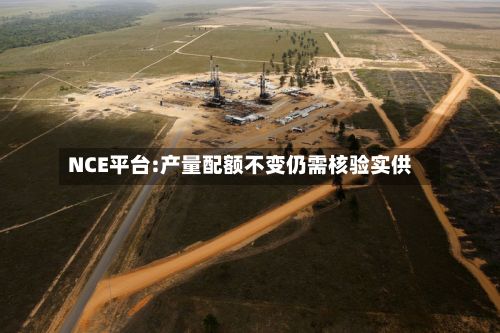 NCE平台:产量配额不变仍需核验实供-第2张图片