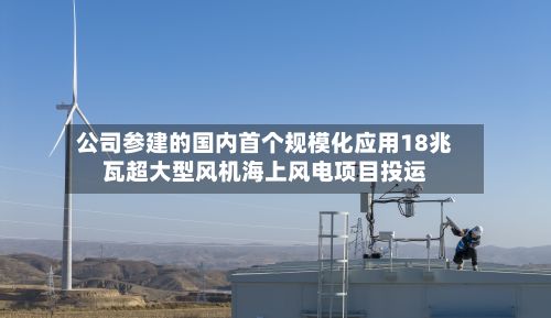 公司参建的国内首个规模化应用18兆瓦超大型风机海上风电项目投运