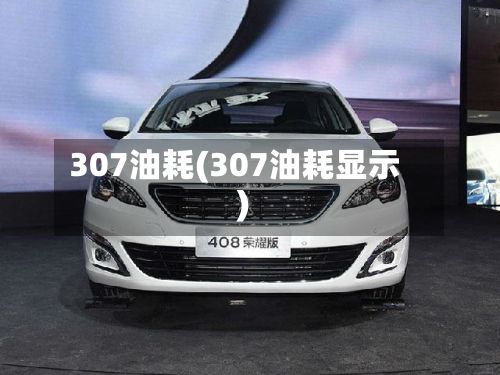 307油耗(307油耗显示)-第2张图片
