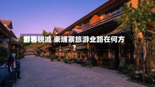 世界
游客锐减 柬埔寨旅游业路在何方?-第2张图片