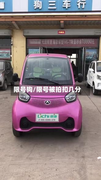 限号狗/限号被拍扣几分-第2张图片
