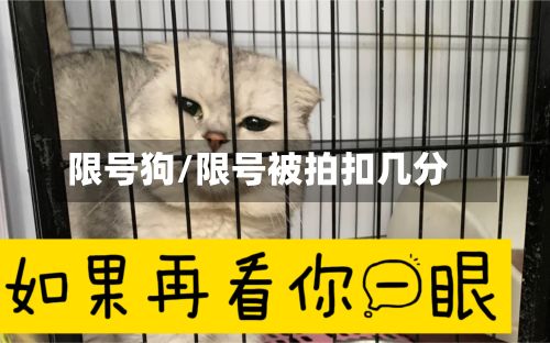 限号狗/限号被拍扣几分-第3张图片