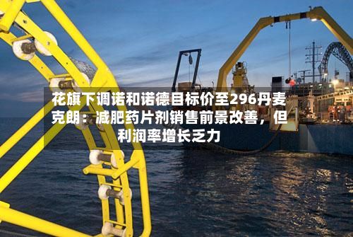 花旗下调诺和诺德目标价至296丹麦克朗：减肥药片剂销售前景改善，但利润率增长乏力-第2张图片