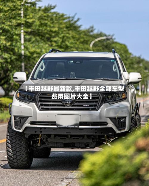 【丰田越野最新款,丰田越野全部车型费用图片大全】-第2张图片