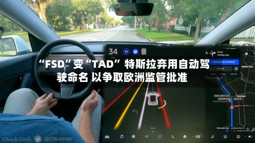 “FSD”变“TAD	” 特斯拉弃用自动驾驶命名 以争取欧洲监管批准-第2张图片