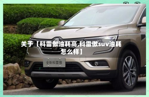 关于【科雷傲油耗高,科雷傲suv油耗怎么样】-第2张图片