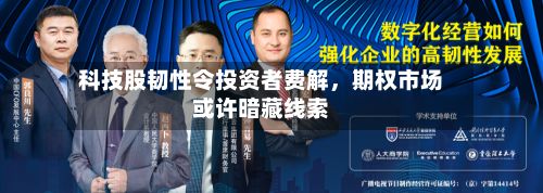 科技股韧性令投资者费解，期权市场或许暗藏线索