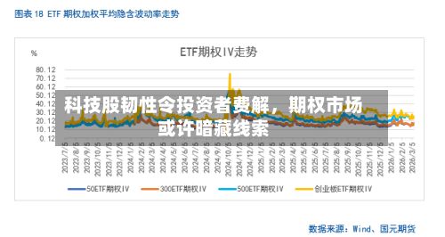 科技股韧性令投资者费解，期权市场或许暗藏线索-第3张图片