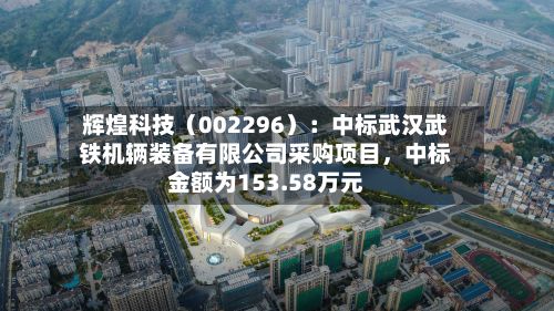 辉煌科技（002296）：中标武汉武铁机辆装备有限公司采购项目，中标金额为153.58万元-第2张图片