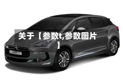 关于【参数t,参数图片】