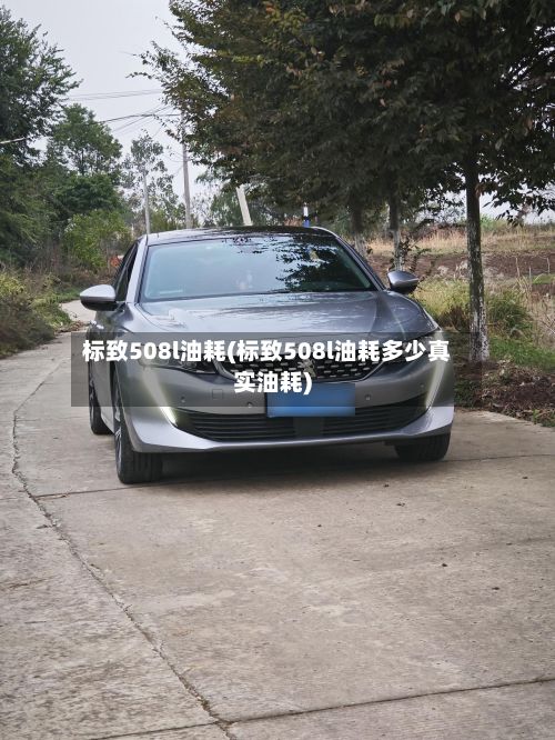 标致508l油耗(标致508l油耗多少真实油耗)-第2张图片