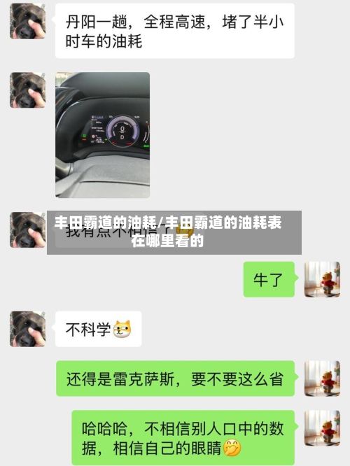 丰田霸道的油耗/丰田霸道的油耗表在哪里看的
