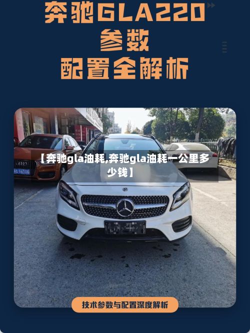 【奔驰gla油耗,奔驰gla油耗一公里多少钱】-第2张图片