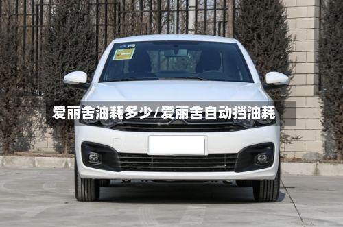 爱丽舍油耗多少/爱丽舍自动挡油耗-第2张图片