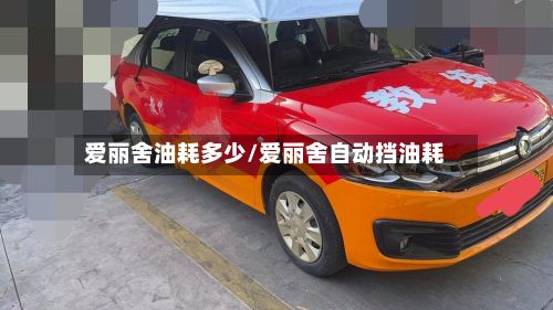 爱丽舍油耗多少/爱丽舍自动挡油耗-第3张图片