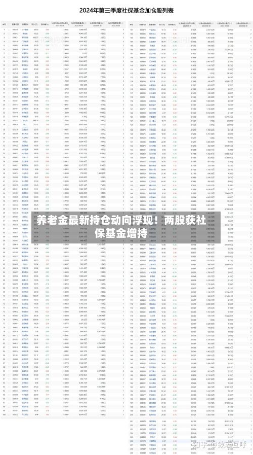 养老金最新持仓动向浮现！两股获社保基金增持-第2张图片