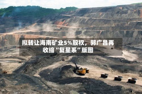 拟转让海南矿业5%股权，郭广昌再收缩“复星系”版图