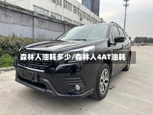 森林人油耗多少/森林人4AT油耗-第2张图片