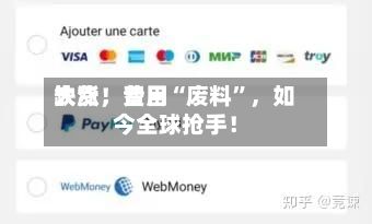 缺货，费用大涨！昔日“废料”，如今全球抢手！-第3张图片