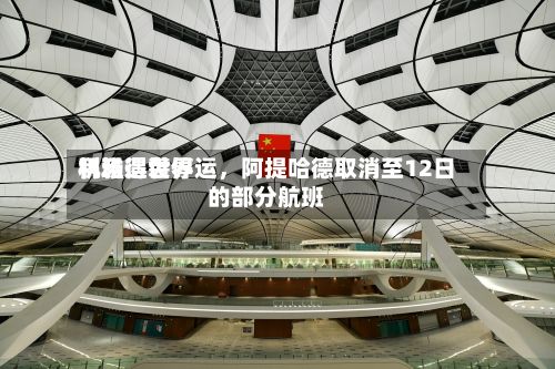 利雅得世界机场遇袭停运	，阿提哈德取消至12日的部分航班-第2张图片