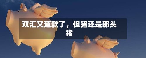 双汇又道歉了	，但猪还是那头猪-第2张图片
