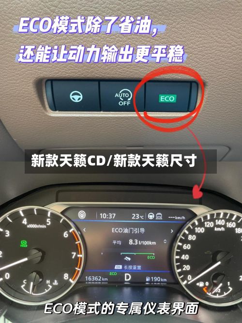 新款天籁CD/新款天籁尺寸