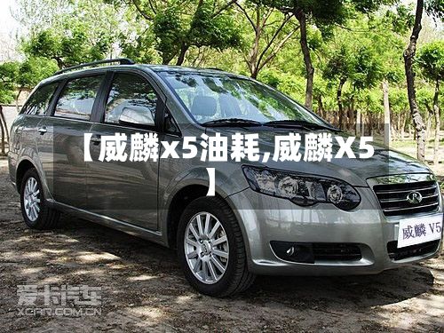 【威麟x5油耗,威麟X5】-第3张图片