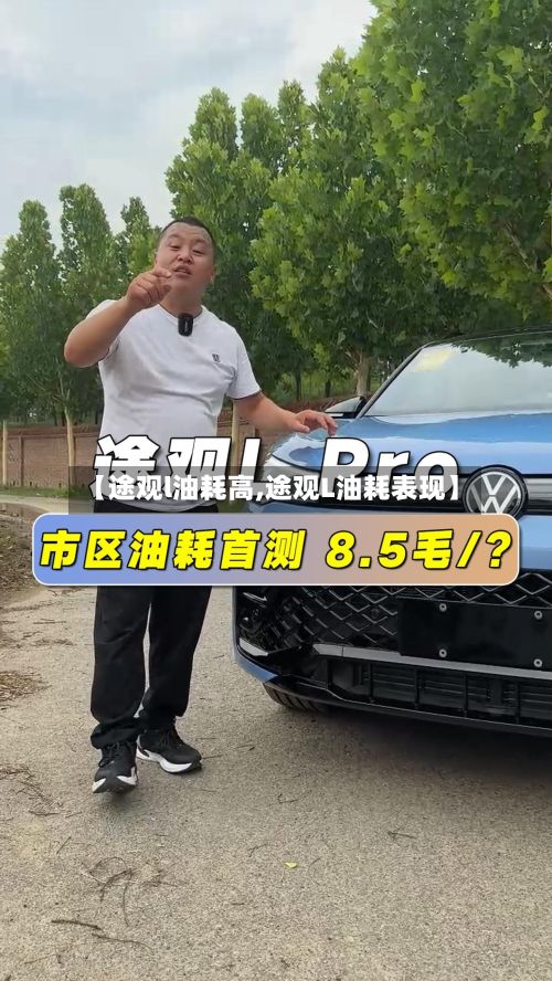 【途观l油耗高,途观L油耗表现】-第2张图片