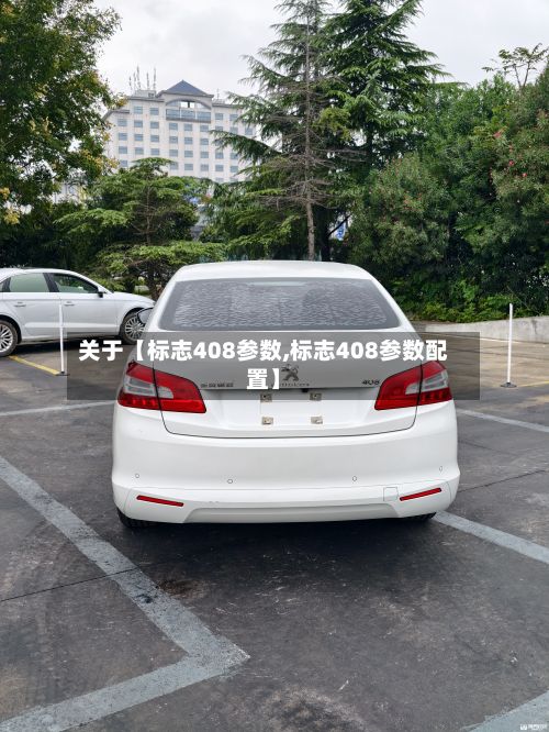 关于【标志408参数,标志408参数配置】-第2张图片