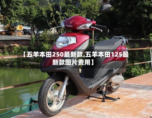 【五羊本田250最新款,五羊本田125最新款图片费用】-第3张图片