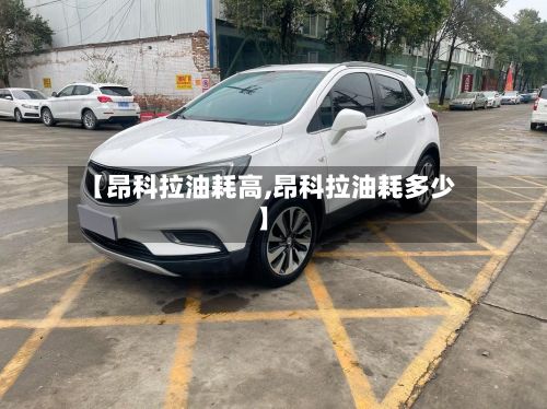 【昂科拉油耗高,昂科拉油耗多少】-第2张图片
